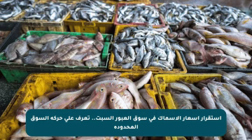استقرار أسعار الأسماك في سوق العبور السبت.. تعرف على حركة السوق المحدودة